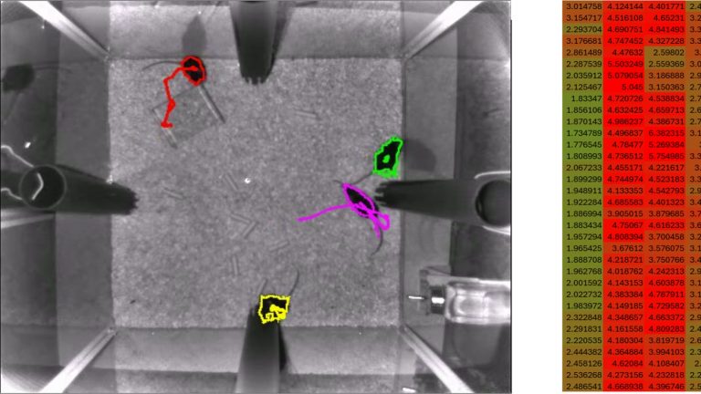 ASDMOD : Modeling complex autistic-like behavior in mice and impact of obesity induced during pregnancy