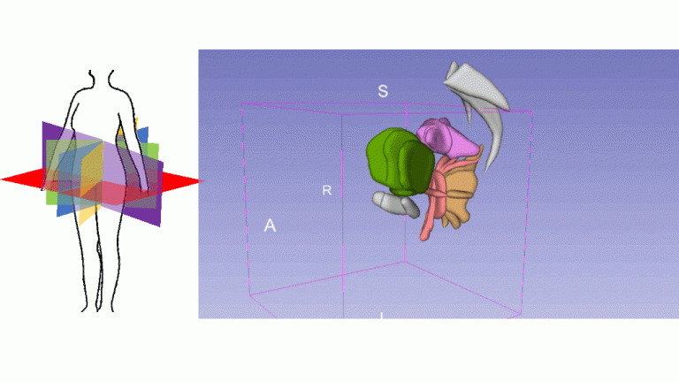 MoDyPe3D